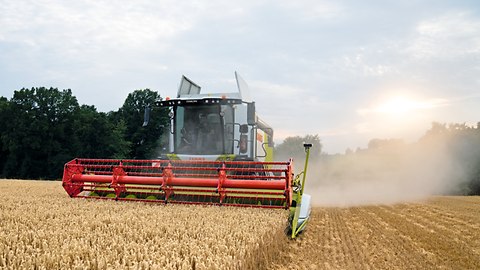 Przyrządy robocze